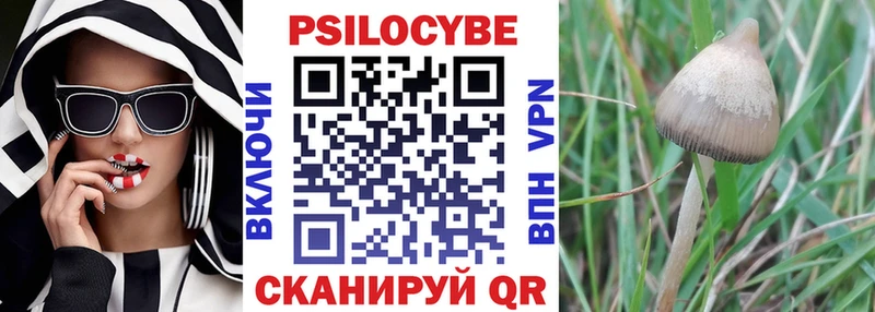 Псилоцибиновые грибы Psilocybe  Звенигово 